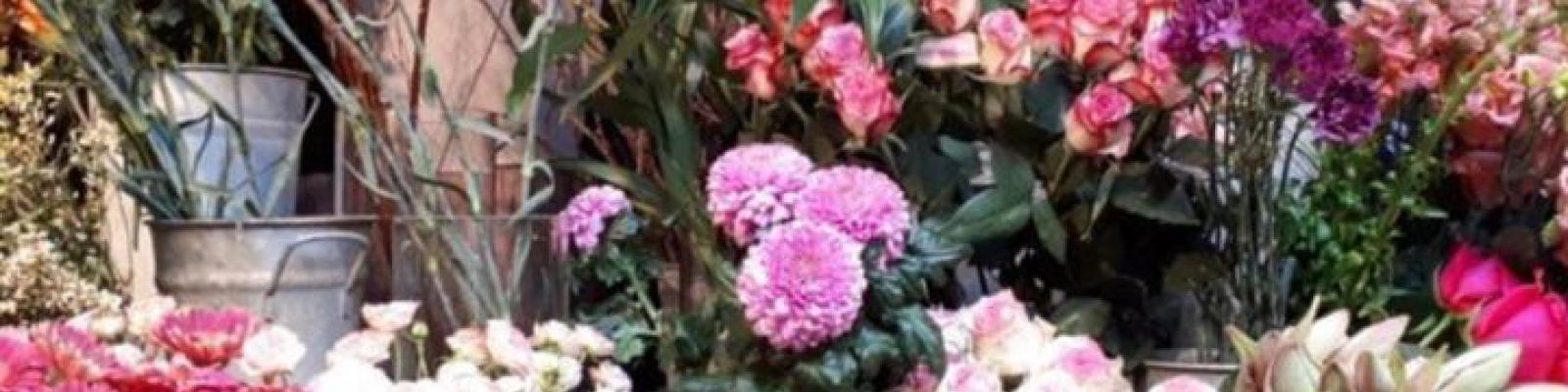 Nieuwsupdate 5 oktober - 2022