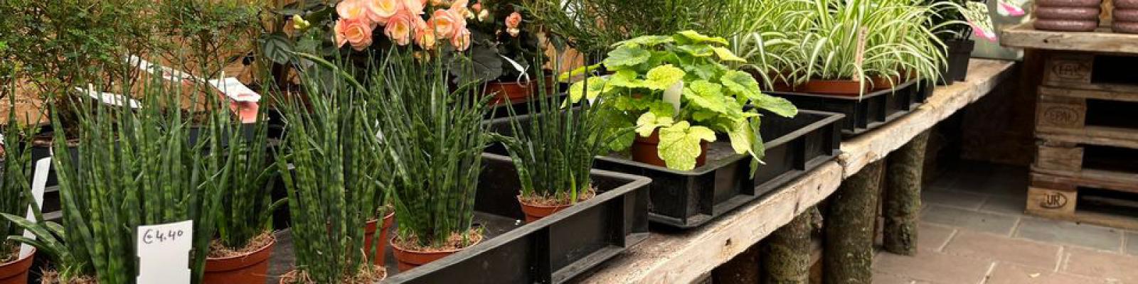 Nieuwsupdate  4 mei - 2023