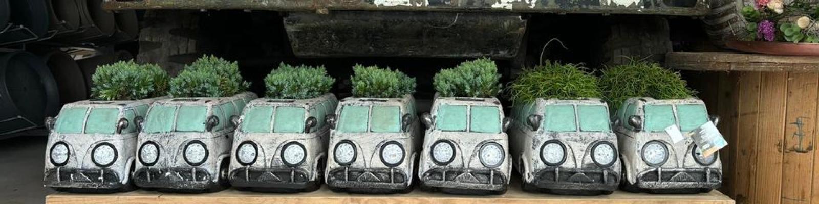 Nieuwsupdate  8 juni - 2024