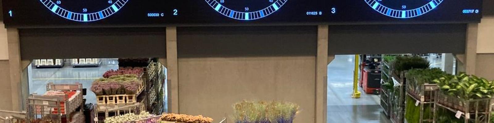 Nieuwsupdate 13 november - 2024