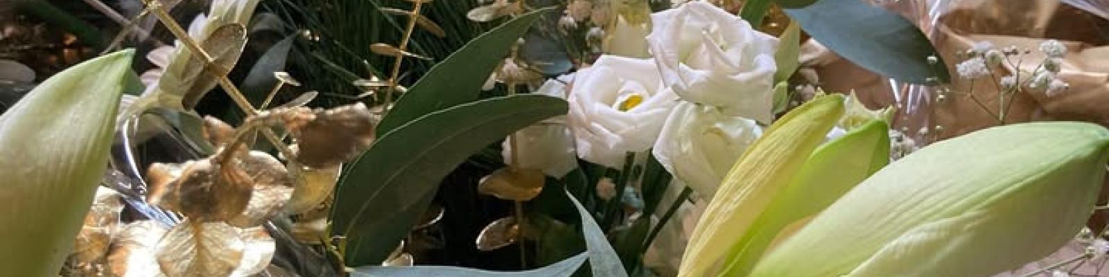 Nieuwsupdate 20 december - 2024