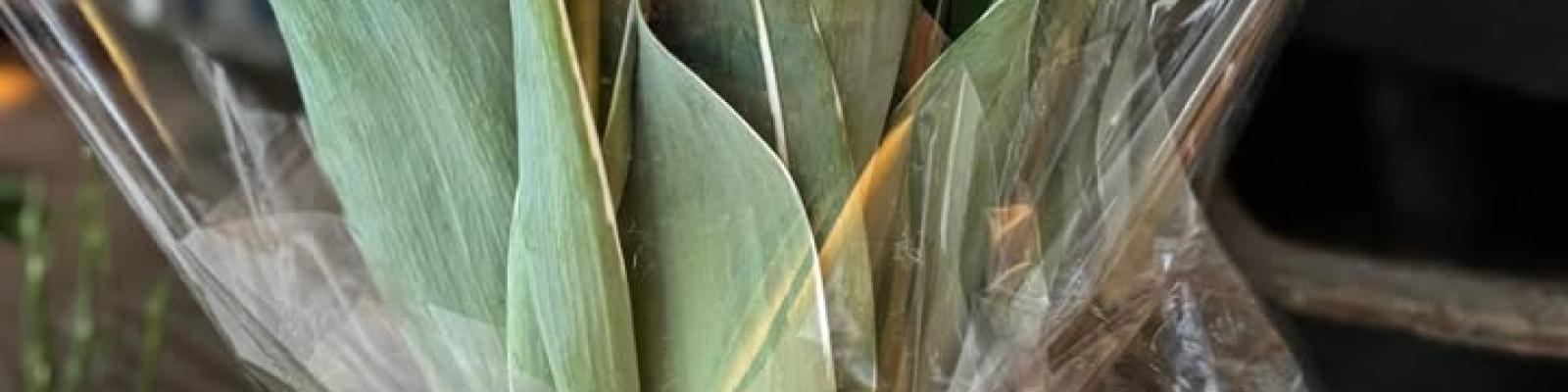 Nieuwsupdate 23 januari - 2025