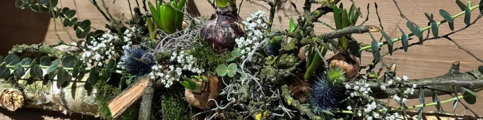 Nieuwsupdate 29 januari - 2025