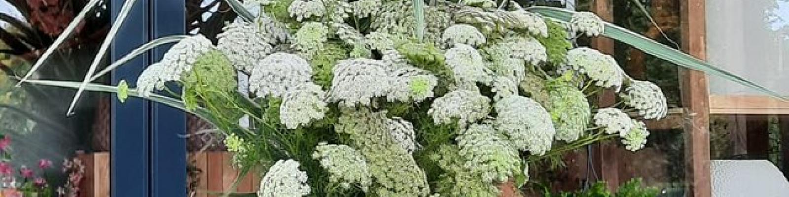 Nieuwsupdate 17 september - 2025