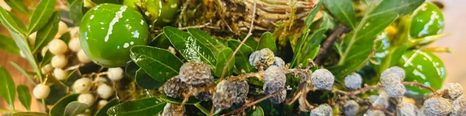 Nieuwsupdate  4 november - 2025